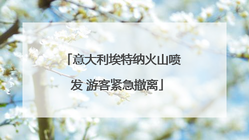 意大利埃特纳火山喷发 游客紧急撤离