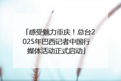 感受魅力重庆！总台2025年巴西记者中国行媒体活动正式启动