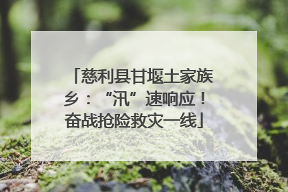 慈利县甘堰土家族乡：“汛”速响应！奋战抢险救灾一线