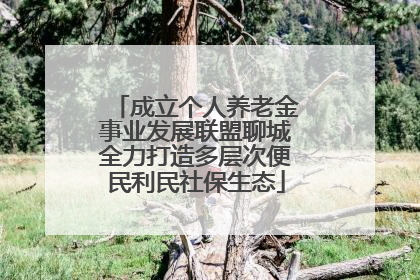 成立个人养老金事业发展联盟聊城全力打造多层次便民利民社保生态