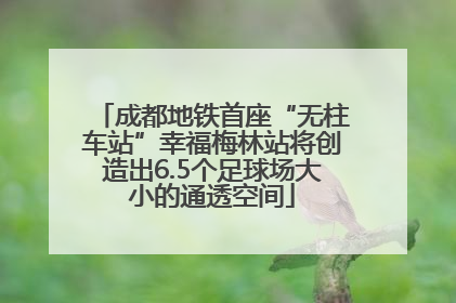 成都地铁首座“无柱车站”幸福梅林站将创造出6.5个足球场大小的通透空间