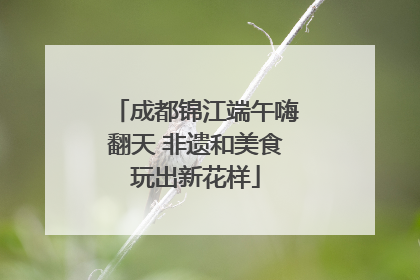成都锦江端午嗨翻天 非遗和美食玩出新花样