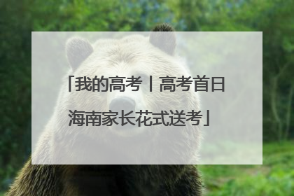 我的高考丨高考首日 海南家长花式送考