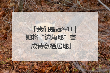我们是冠军㉓｜她将“边角地”变成诗意栖居地
