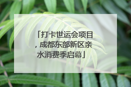 打卡世运会项目，成都东部新区亲水消费季启幕