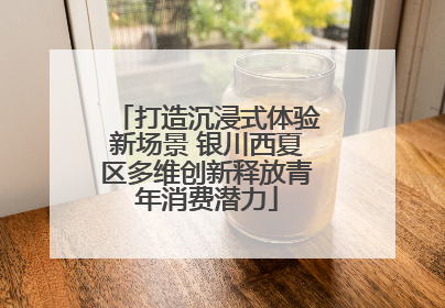 打造沉浸式体验新场景 银川西夏区多维创新释放青年消费潜力