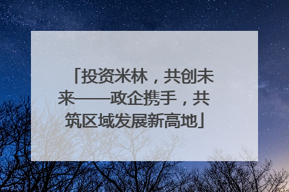 投资米林,共创未来——政企携手,共筑区域发展新高地