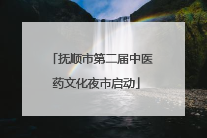 抚顺市第二届中医药文化夜市启动