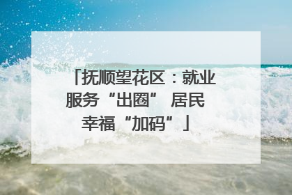 抚顺望花区：就业服务“出圈” 居民幸福“加码”