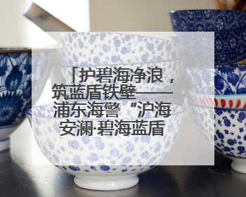 护碧海净浪，筑蓝盾铁壁——浦东海警“沪海安澜·碧海蓝盾”行动织密立体防控网