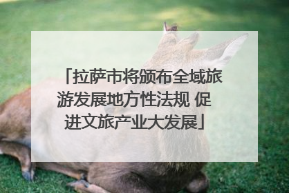 拉萨市将颁布全域旅游发展地方性法规 促进文旅产业大发展