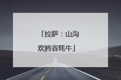 拉萨：山沟欢腾赛牦牛