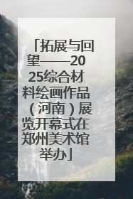 拓展与回望——2025综合材料绘画作品（河南）展览开幕式在郑州美术馆举办