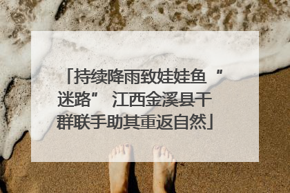 持续降雨致娃娃鱼“迷路” 江西金溪县干群联手助其重返自然