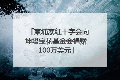 柬埔寨红十字会向坤塔宝花基金会捐赠100万美元