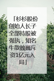 杉杉股份创始人长子全部持股被强执，知名牛散魏巍斥资1亿元入局