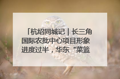 杭绍同城记｜长三角国际农批中心项目形象进度过半，华东“菜篮子”建设加码提速！
