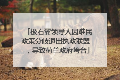 极右翼领导人因难民政策分歧退出执政联盟，导致荷兰政府垮台