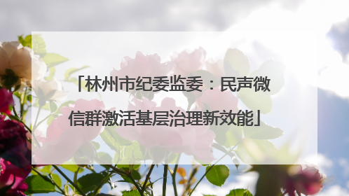 林州市纪委监委：民声微信群激活基层治理新效能