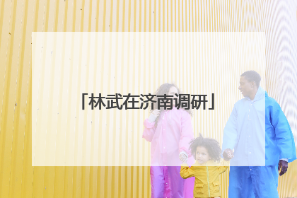 林武在济南调研