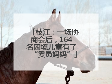 枝江：一场协商会后，164名困境儿童有了“委员妈妈”
