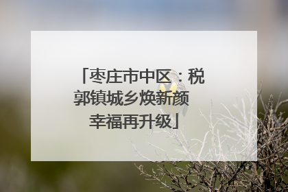 枣庄市中区：税郭镇城乡焕新颜 幸福再升级