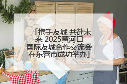 携手友城 共赴未来 2025黄河口国际友城合作交流会在东营市成功举办