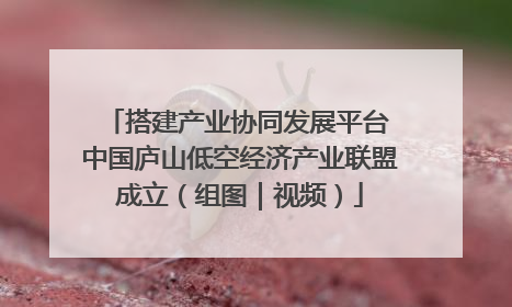 搭建产业协同发展平台 中国庐山低空经济产业联盟成立（组图｜视频）
