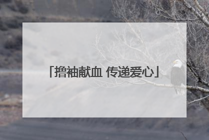 撸袖献血 传递爱心