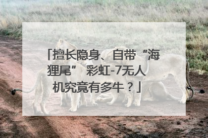 擅长隐身、自带“海狸尾” 彩虹-7无人机究竟有多牛？