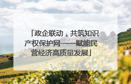 政企联动，共筑知识产权保护网——赋能民营经济高质量发展