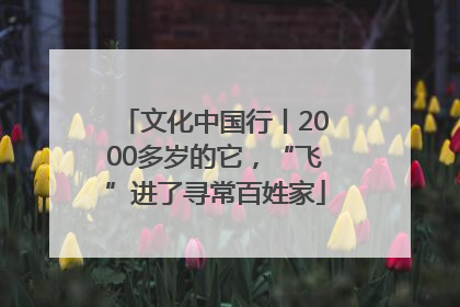 文化中国行丨2000多岁的它，“飞”进了寻常百姓家