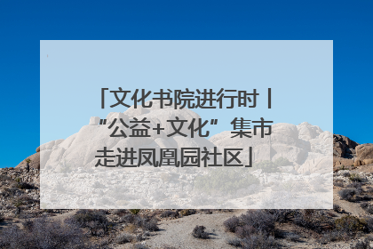 文化书院进行时丨“公益+文化”集市走进凤凰园社区