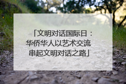 文明对话国际日：华侨华人以艺术交流串起文明对话之路