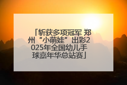 斩获多项冠军 郑州“小萌娃”出彩2025年全国幼儿手球嘉年华总站赛
