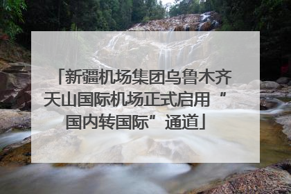 新疆机场集团乌鲁木齐天山国际机场正式启用“国内转国际”通道