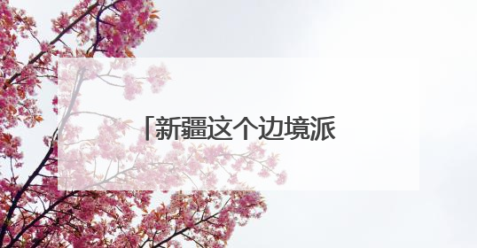 新疆这个边境派出所上了国新办中外记者见面会