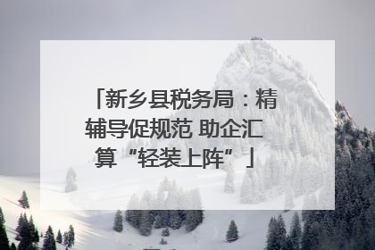 新乡县税务局：精辅导促规范 助企汇算“轻装上阵”
