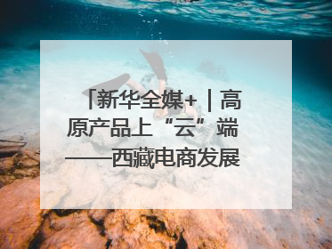 新华全媒+｜高原产品上“云”端——西藏电商发展一线观察