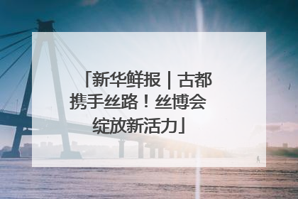 新华鲜报｜古都携手丝路！丝博会绽放新活力