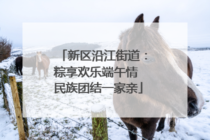 新区沿江街道：粽享欢乐端午情 民族团结一家亲