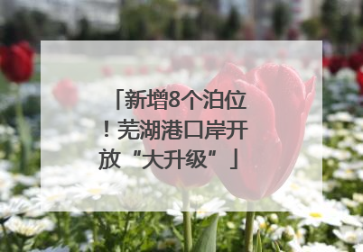 新增8个泊位！芜湖港口岸开放“大升级”