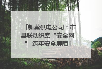 新蔡供电公司：市县联动织密“安全网” 筑牢安全屏障