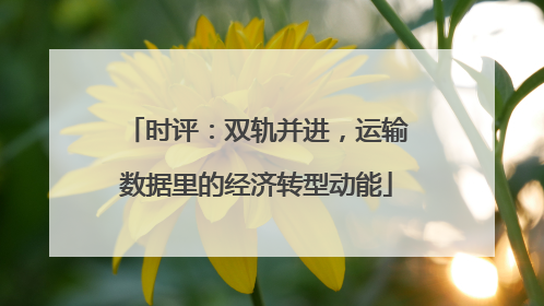 时评：双轨并进，运输数据里的经济转型动能