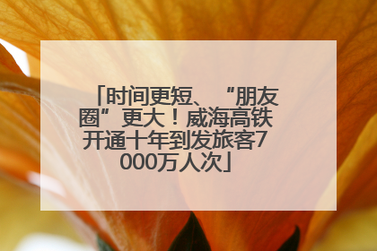 时间更短、“朋友圈”更大！威海高铁开通十年到发旅客7000万人次