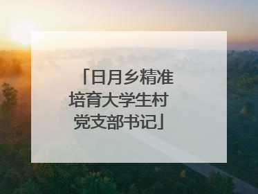 日月乡精准培育大学生村党支部书记