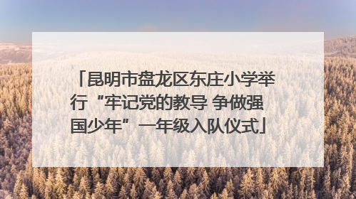 昆明市盘龙区东庄小学举行“牢记党的教导 争做强国少年”一年级入队仪式
