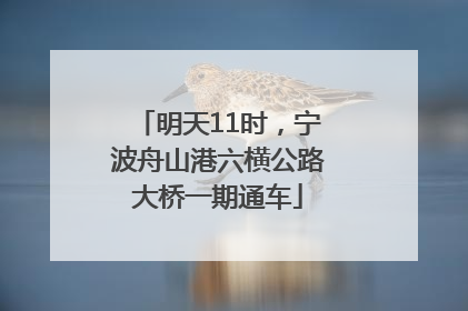 明天11时，宁波舟山港六横公路大桥一期通车
