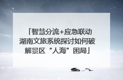 智慧分流+应急联动 湖南文旅系统探讨如何破解景区“人海”困局