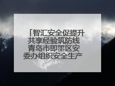 智汇安全促提升 共享经验筑防线 青岛市即墨区安委办组织安全生产共享专家现场观摩学习活动